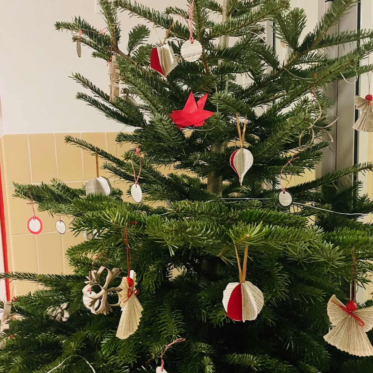 Adventsschmücken 25 IMG_4640_1200x1200 1200x1200